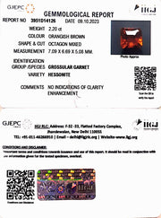 2.20/CT Natural Govt. Lab Certified Ceylonese Gomed (3441)